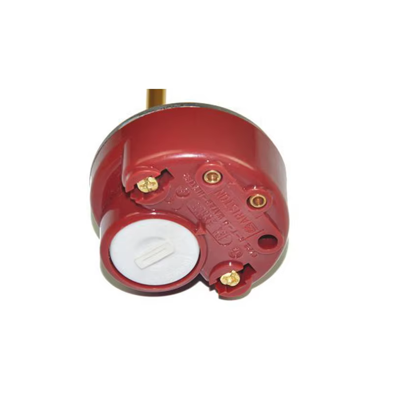 DN32 1 1/4" Water Heating Element With Thermostat 220V Immersion Heater With Temperature Controller 1.5kw/2kw/3kw